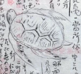 企画展「歴史どうぶつ園、開園！～“推し”をみつけよう！」を開催