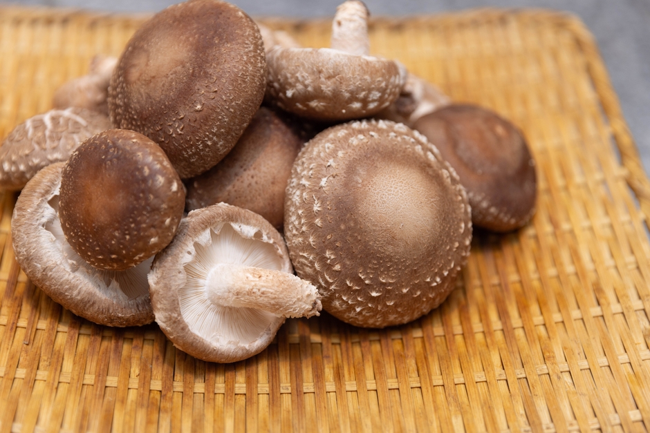 ふっくらとした肉厚な「原木しいたけ吉野」