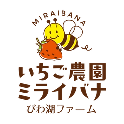 琵琶湖近くで45分間食べ放題の“いちご狩り”！ 「いちご農園ミライバナびわ湖ファーム」が12月24日から開園