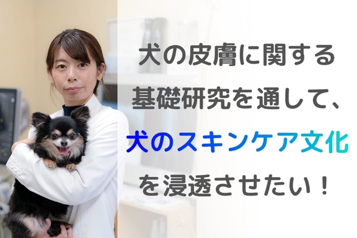 犬の皮膚に関する基礎研究を通して、犬のスキンケア文化を浸透させたい!
