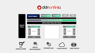 リミットのないAI進化、開発を加速するデータ基盤 DDN Infinia