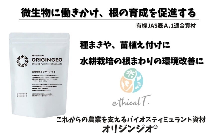 メインページ(3)