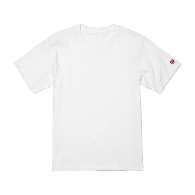 Standard TEE