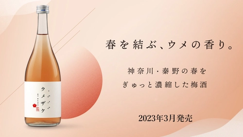 金井酒造店、手摘みウメ使用の梅酒「ウメザケ」2023Edition 販売開始