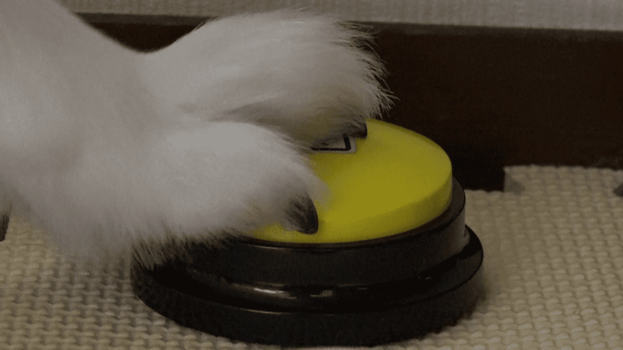 ワンちゃんと会話するためのボタン!?