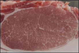 エコフィードを給与し「霜降り」になった豚肉のロース(県内農家「アグリズム熊野)で試作した豚肉)