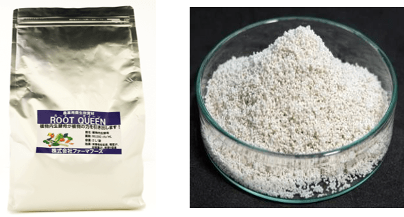 製品外観(チャック付きアルミパウチ) 製品中身(パーライトに植物内生酵母を担持)