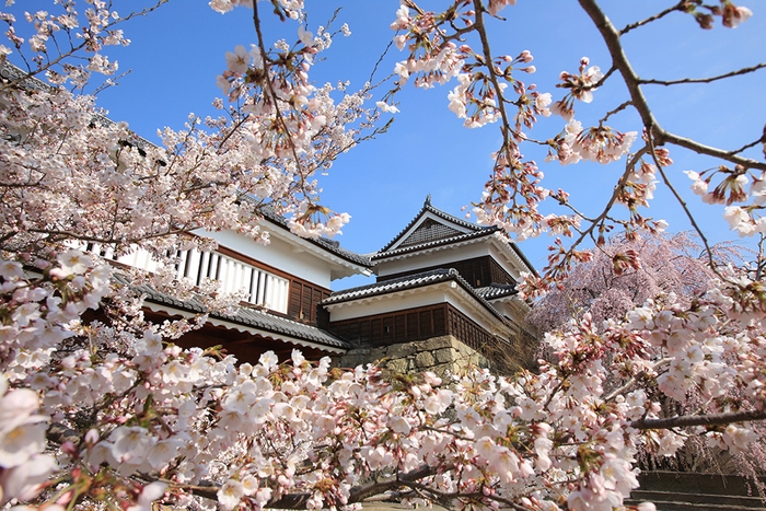 上田城跡公園