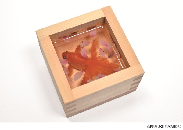 《金魚酒 命名 美籠（みこも）》