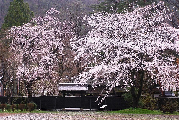 角館武家屋敷