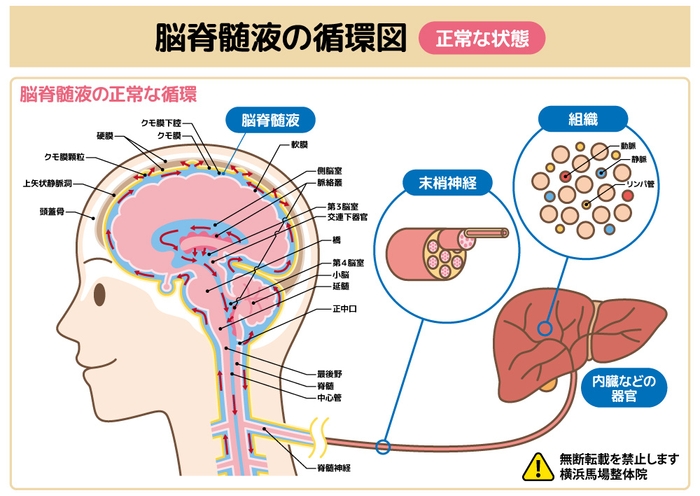 画像A