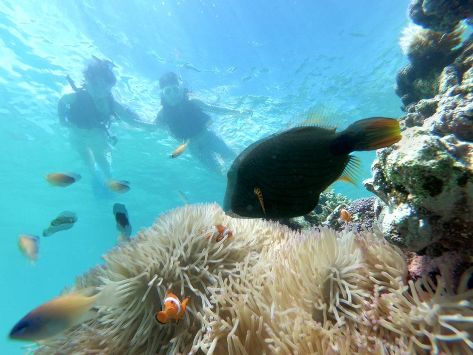 シュノーケリング ※イメージ