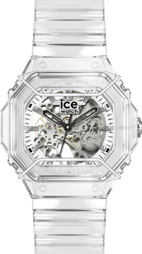 025684 / Transparent skeleton