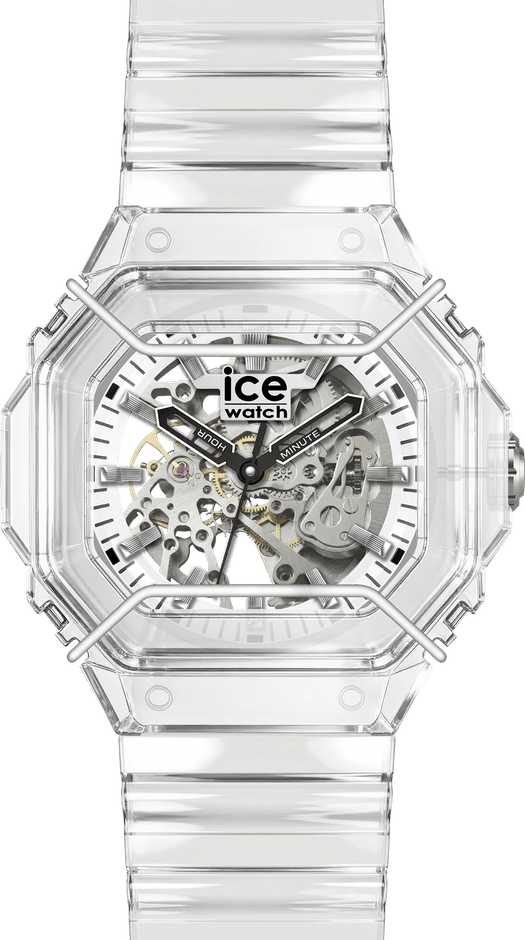 025684 / Transparent skeleton