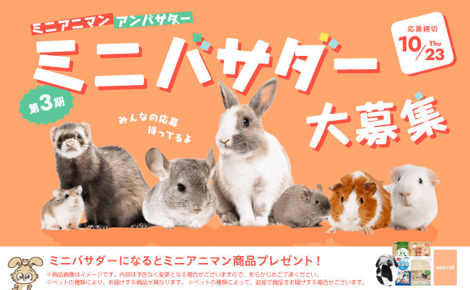 ミニバサダー大募集!