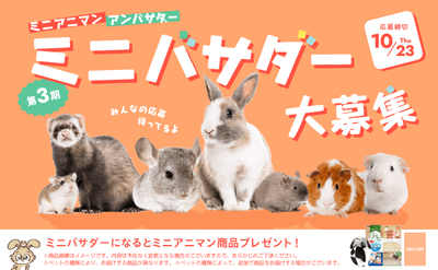 ミニバサダー大募集!