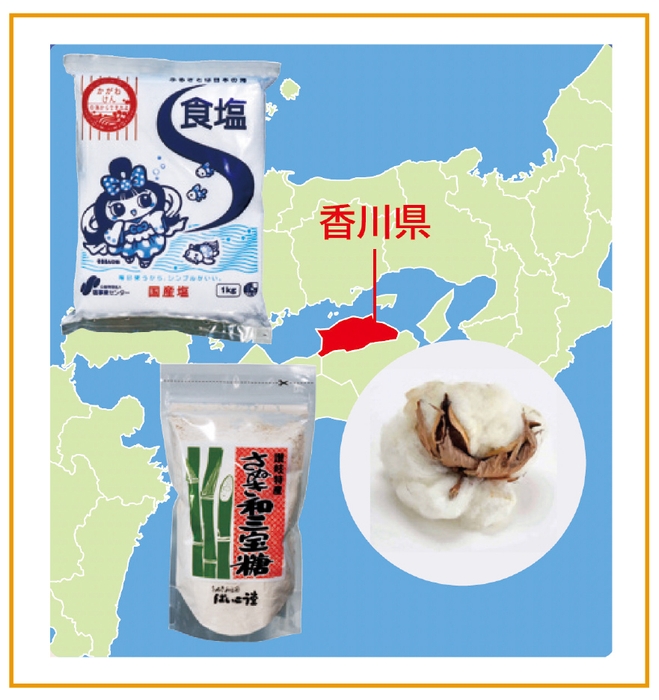 【解説】