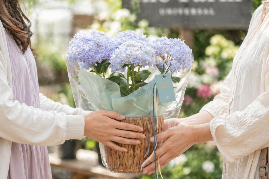 母の日ギフトとしてあじさいを贈るシーン