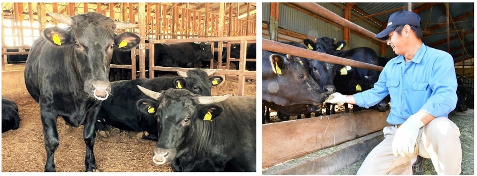 株式会社渡邊精肉店について