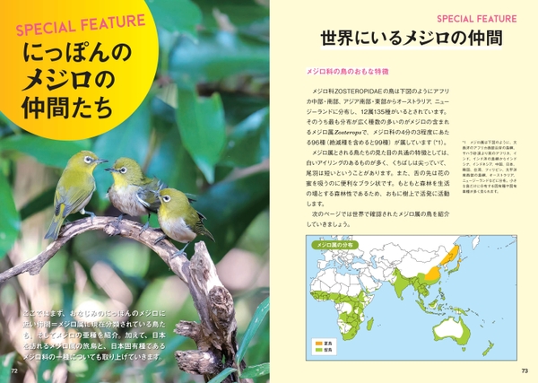 にっぽんのメジロの仲間たち
