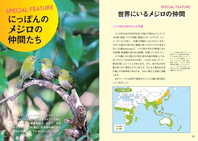 にっぽんのメジロの仲間たち