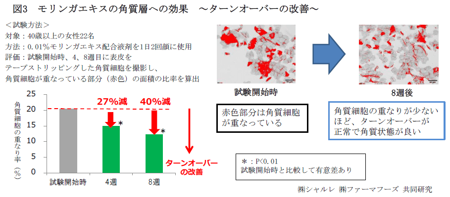 図3　モリンガエキスの角質層への効果　～ターンオーバーの改善～