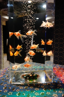 アクアリウム 金魚