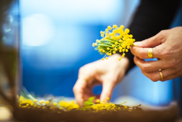 どんな形にしようかな?