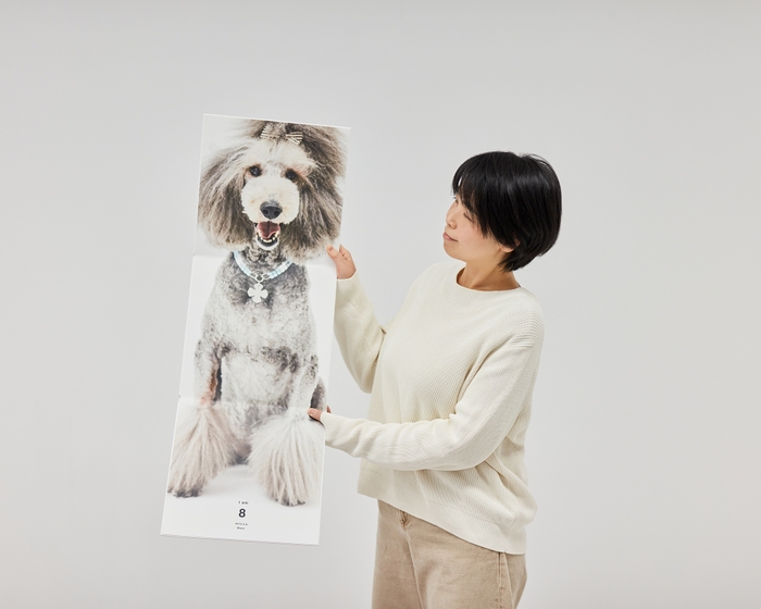 犬専用の等身大フォトブック「ONE BOOK」- 大型犬 スタンダードプードル