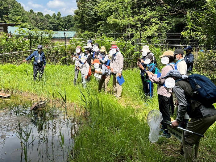 ビオトープ見学の様子