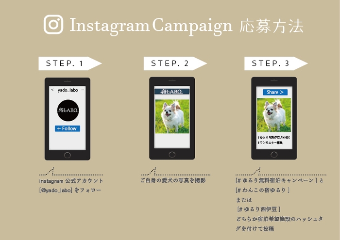 キャンペーン応募方法