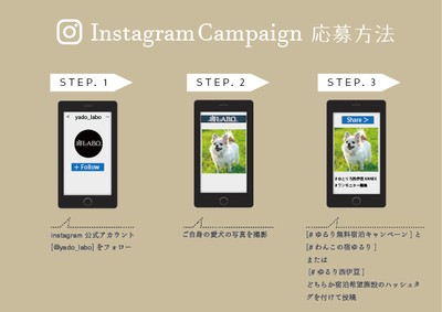 キャンペーン応募方法
