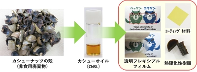 ナッツの殻から機能性材料の開発に成功 ～植物由来の環境調和型グリーンプラスチックを開発～