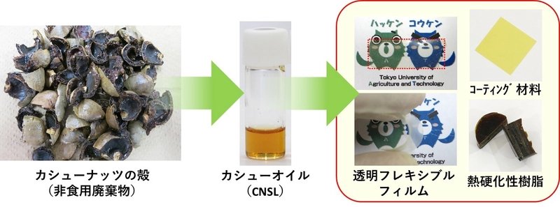 ナッツの殻から機能性材料の開発に成功 ～植物由来の環境調和型グリーンプラスチックを開発～