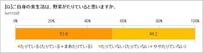 75.1％の人は野菜がたりないと「罪悪感」を感じる！　 朝食で野菜を食べるのは「週1回以下」が42.3％　 ゆるめの「朝ベジ活」が、野菜不足を解消するポイント　