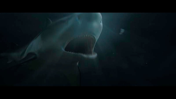 © 2021 Acme Holding Company, LLC. All Rights Reserved.