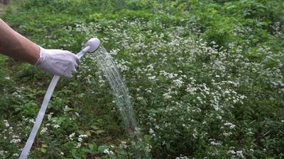 ホースノズルで好きな場所に水撒き可能