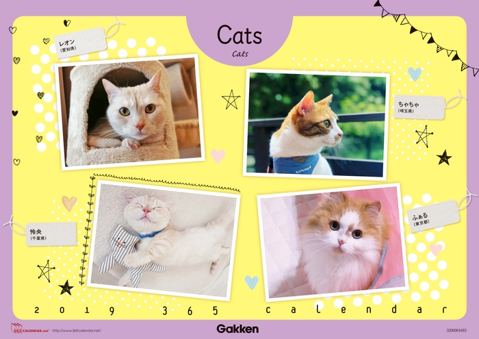 2020年版表紙/Cats