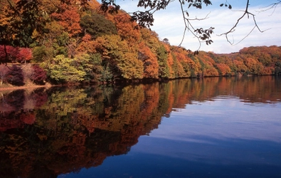 秋の伊東で紅葉を楽しもう　 一碧湖＆丸山公園の紅葉が12月上旬見頃に