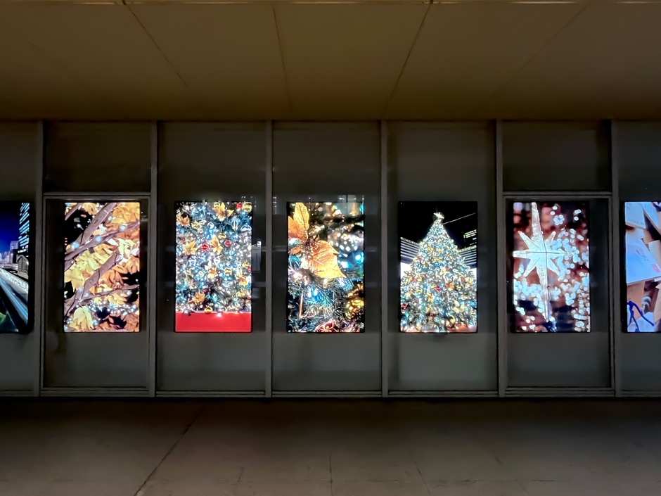 展示例：御茶ノ水ソラシティのクリスマス(夜)
