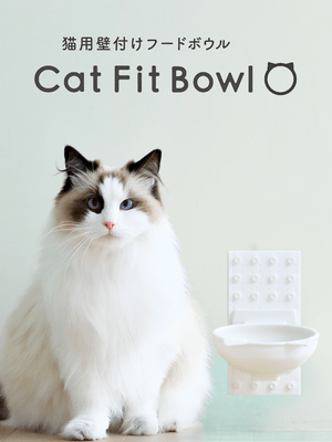 Cat Fit Bowl