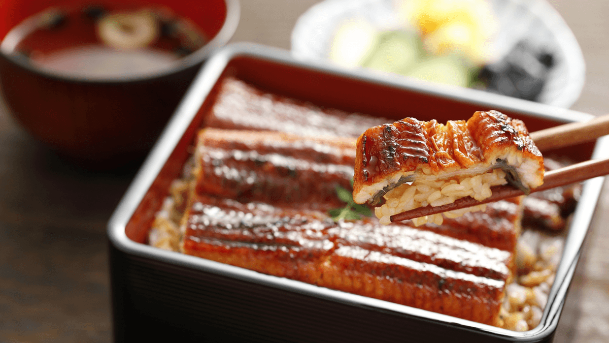 還元率入り！ふるさと納税 9大サイト横断の最新人気ランキングを発表｜鰻（うなぎ）が急上昇【6月12日】 NEWSCAST