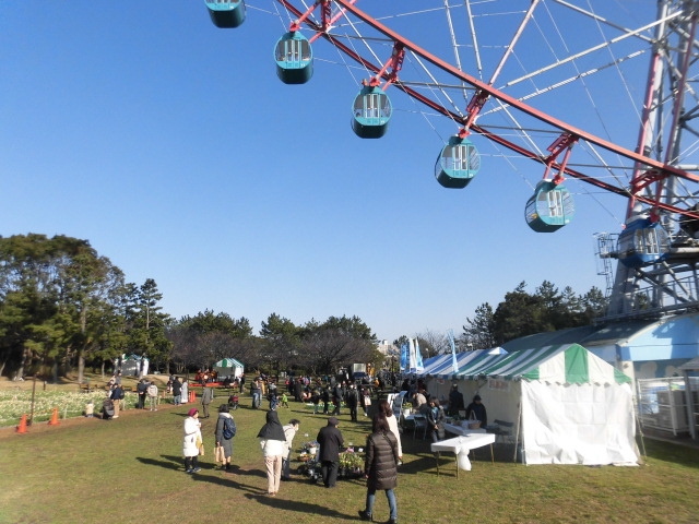 過去の「水仙まつり」の様子