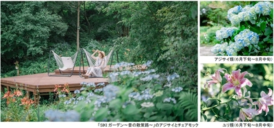 ROKKO森の音ミュージアム SIKIガーデンSummer Season“Symphony” 夏の花々とアート、音楽が調和したフェアを開催 2026年6月26日（金）～8月21日（金）
