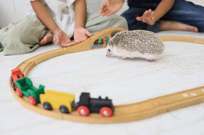 「ボクの針は痛くない」画像3