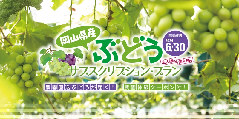 「岡山のぶどう」が定期的に届くサブスクリプションの販売締切が 6月30日に迫る！ぶどう生産者との体験交流も