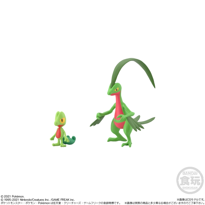 キモリ&ジュプトル