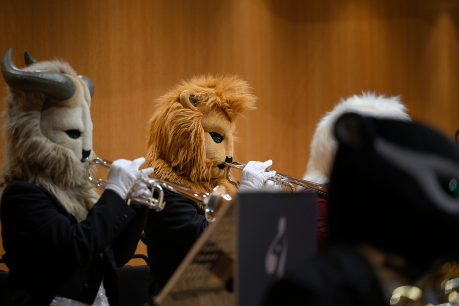 インドライオン(Tp)