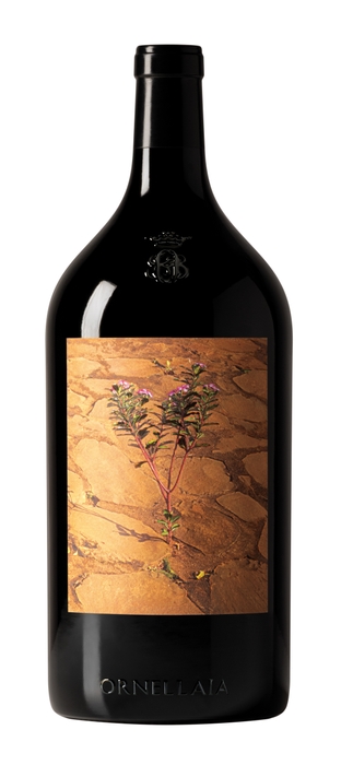 ダブルマグナム・ボトル(3L)