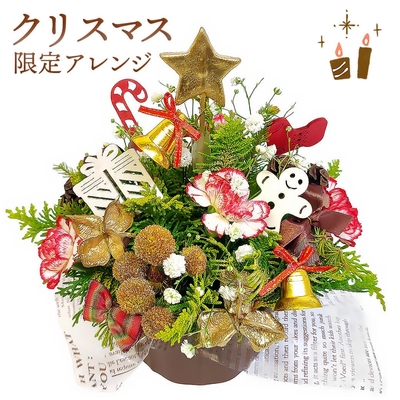 【クリスマス限定】ミニツリーアレンジメント